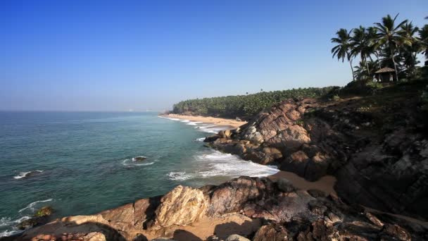 石やヤシの木で海岸。インド — ストック動画