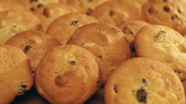 Cookies biscuit with raisin — Stock Video