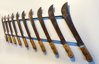 Mauritius. Bir şeker aşağı kesim için eski pala olabilir