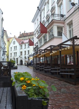 yağmur altında eski şehrin sokaklarında. Tallinn, Estonya