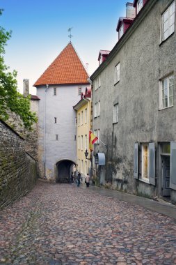 Eski Tallinn bir kulede yolda