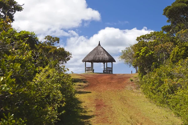 De weg in het hout, mauritius — Stockfoto