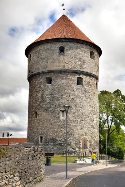 Kiek in de Kok står hög. Gamla staden, Tallinn, Estland. — Stockfoto
