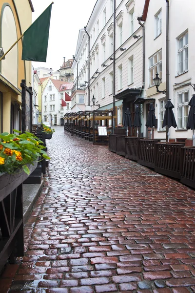 Straten van de oude stad in de regen. Tallinn, Estland — Stockfoto