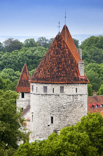 Torres medievales parte de la muralla de la ciudad. Tallin, Estonia —  Fotos de Stock