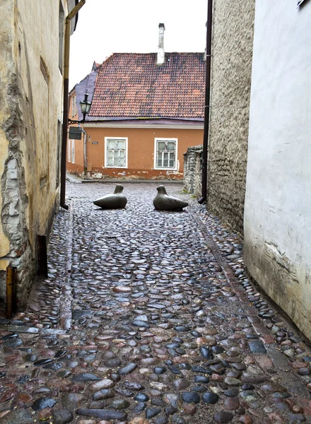 Straten van de oude stad in de regen. Tallinn, Estland. — Stockfoto