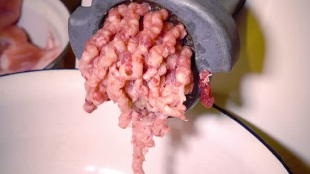 Húsfeldolgozó készítmény elektromos húsdaráló — Stock videók
