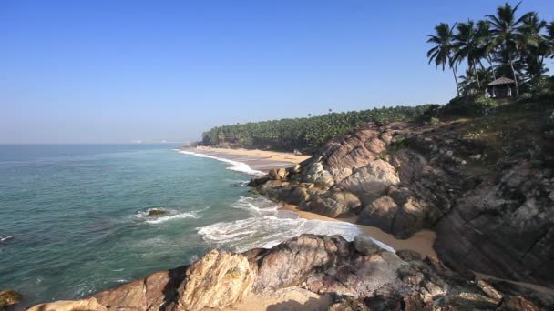 Cennet plaj palmiye ağaçları, havadan görünümü ile. Kerala, Hindistan. — Stok video