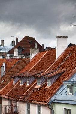 eski kentin çatıları görüntüleyin. Tallinn. Estonya.