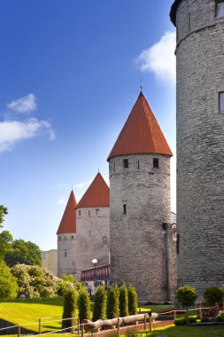 Ortaçağ kule - duvar parçası. Tallinn, Estonya