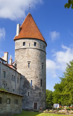 Ortaçağ kule - duvar parçası. Tallinn, Estonya