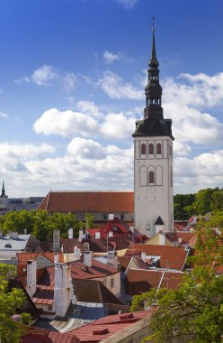 Eski şehrin çatılarındaki bir gözlem güvertesinden şehir manzarası. Tallinn. Estonya