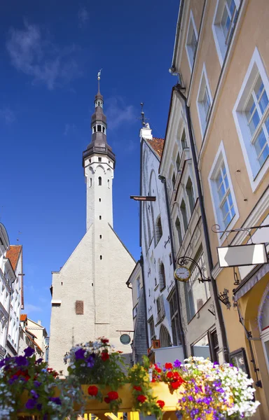 Tallinn, Estland, straat van de oude stad met lichte huizen en een stadhuis piek — Stockfoto