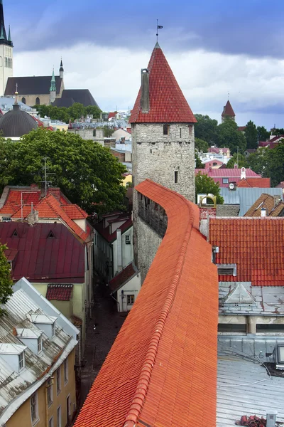 Ulice a věže městské zdi. Staré město. Tallinn, Estonsko — Stock fotografie