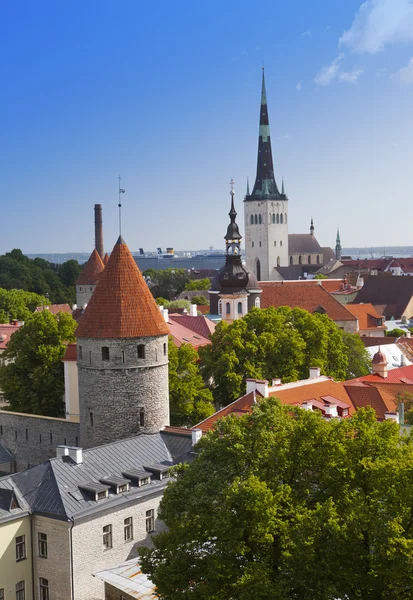 Stadtpanorama von einer Aussichtsplattform über den Dächern der Altstadt. Tallinn. Estland — Stockfoto