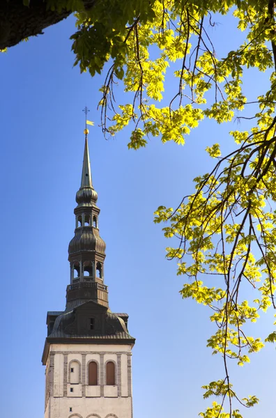 Vista de la Iglesia de San Nicolás (Niguliste). Ciudad vieja, Tallin, Estonia —  Fotos de Stock