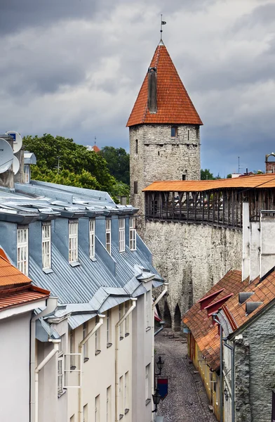 Tallinn. Pohled ze střechy, opevnění a věž — Stock fotografie