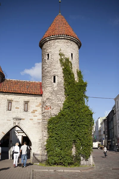 Tallinn, Estonsko - 18. června: turisté na vstupu z Viru brány starého města na 18 června 2012 v Tallinn, Estonsko — Stock fotografie