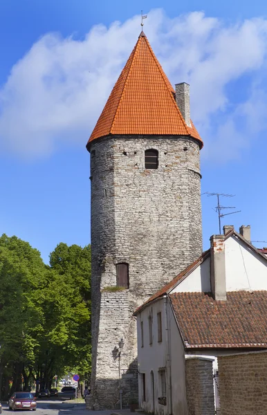 Středověká věž. Tallinn, Estonsko — Stock fotografie