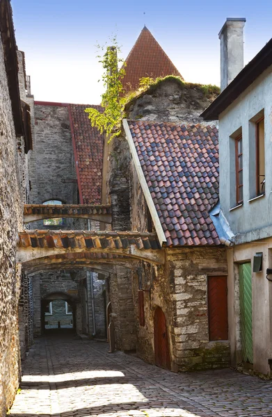 St. Catherine Passage - a little walkway in the old city Tallinn, Estonia. — Stock Photo, Image