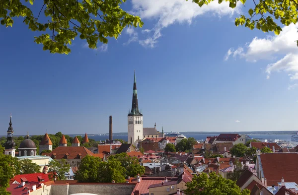 Eski şehrin çatılarındaki bir gözlem güvertesinden şehir manzarası. Tallinn. Estonya — Stok fotoğraf