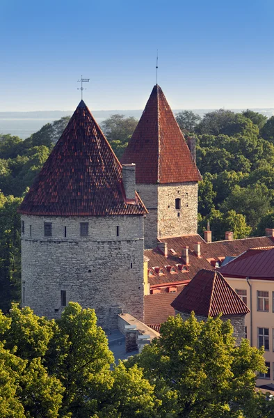 Tornet av en stadsmur. Gamla staden. Tallinn, Estland — Stockfoto