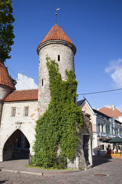 Ciudad Vieja. Tallin, Estonia la entrada desde la Puerta Viru . —  Fotos de Stock