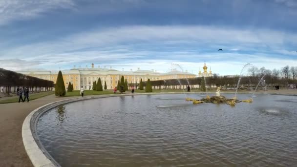 Fontanny, park górny i kopułą pałacu Peterhof Park w Petrodvorets, Peterhof, Rosja — Wideo stockowe