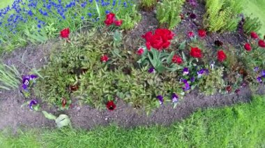 Kırmızı terry Lale bir yatakta