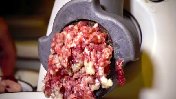 Forcemeat preparation in an electric meat grinder — Stock Video