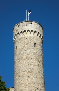 Uzun boylu Hermann - Toompea Castle Toompea tepe üzerinde bir kule. Tallinn, Estonya