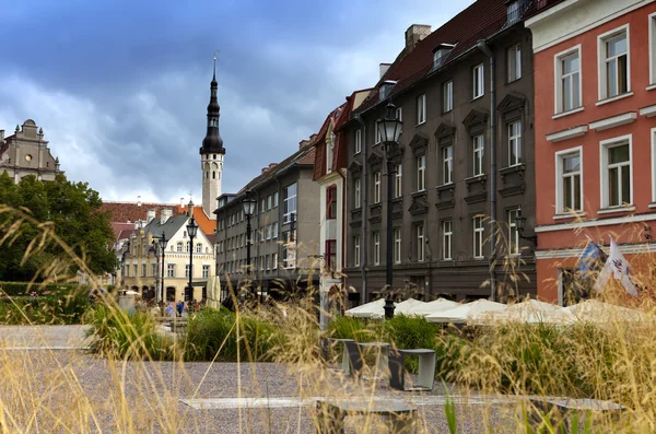 Stare domy na ulicach starego miasta. Tallin. Estonia — Zdjęcie stockowe