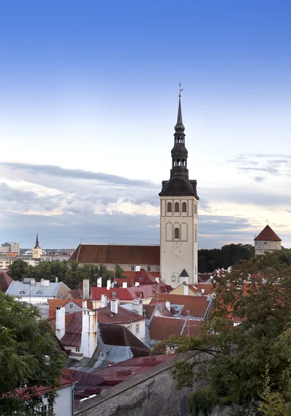 Gamla förstörda st. brigitta kloster i pirita regionen, tallinn, Estland — Stockfoto