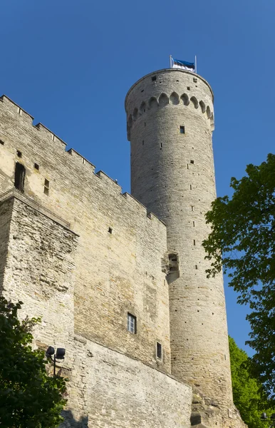 Vysoká Hermann - věž hradu Toompea, na vrchu Toompea. Tallinn, Estonsko — Stock fotografie