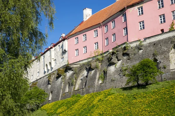 Visa hus på kullen Toompea. Gamla stan, Tallinn, Estland — Stockfoto