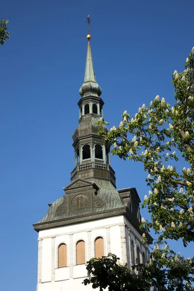 Vista da Igreja de São Nicolau (Niguliste). Cidade velha, Tallinn, Estónia — Fotografia de Stock