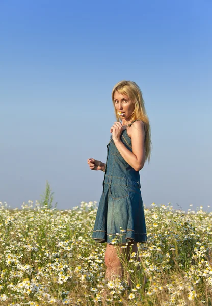 Young woman  in the field  of camomiles — Stock Photo, Image