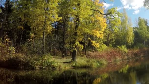 feuilles d'automne lumineux dans le parc 