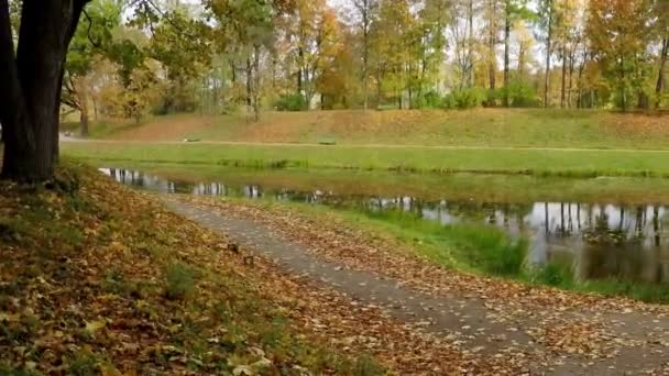 Herfst park met de rivier — Stockvideo