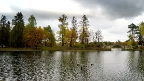 jour nuageux d'automne sur le lac. Russie 
