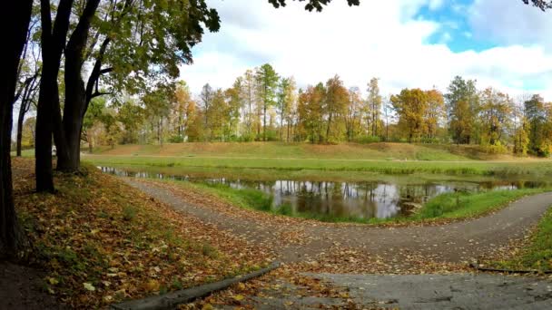 Herfst park met de rivier — Stockvideo