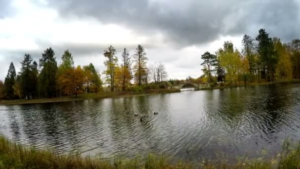 jour nuageux d'automne sur le lac. Russie 
