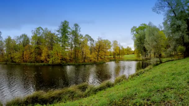 Őszi park, a folyó — Stock videók