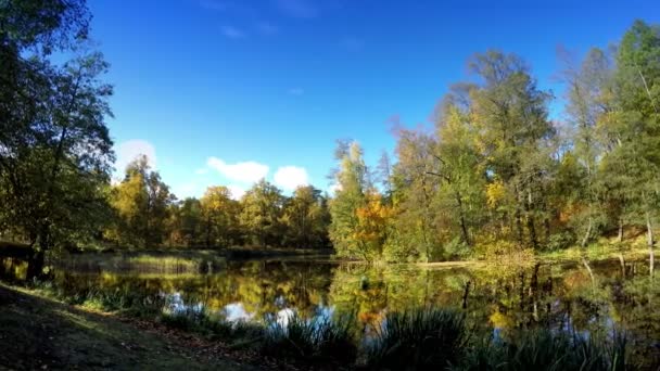 Осіннє дерево з яскравим листям відбивається в озері — стокове відео