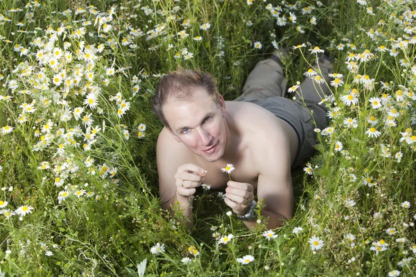 O jovem feliz no campo das camomilas — Fotografia de Stock