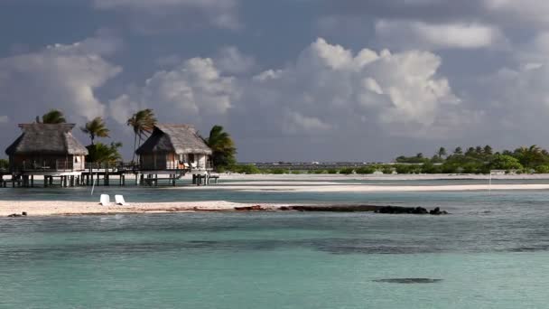 Типичный полинезийский пейзаж - остров с пальмами и домиками на воде в море — стоковое видео