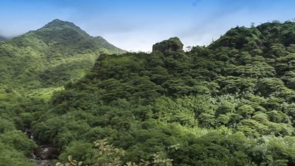 タヒチ。ポリネシア。山の風景。パノラマ — ストック動画