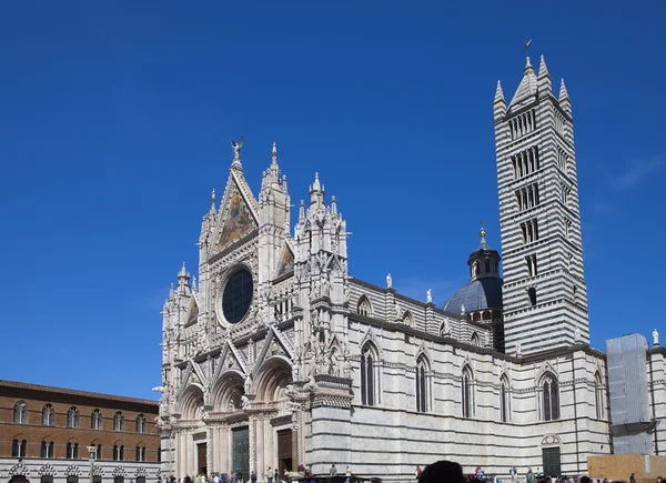 Siena Katedrali'nin güneşli bir günde, Toskana, İtalya — Stok fotoğraf