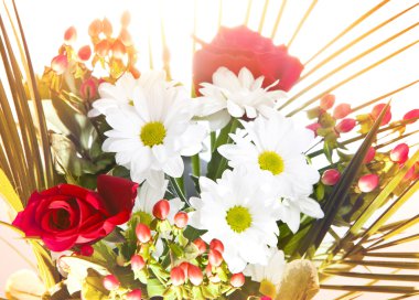 chamomiles ve gül ile parlak buket