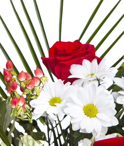 Bright bouquet with chamomiles and rose — Stock Photo, Image